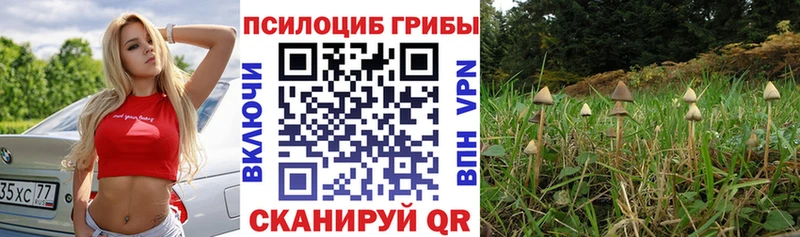 Галлюциногенные грибы MAGIC MUSHROOMS  где продают наркотики  Олёкминск 